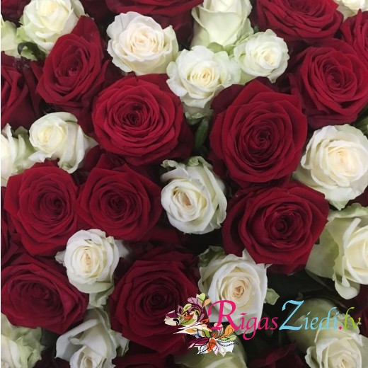 101 red and white rose bouquet